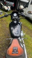 Harley Davidson XL883L Nordrhein-Westfalen - Windeck Vorschau