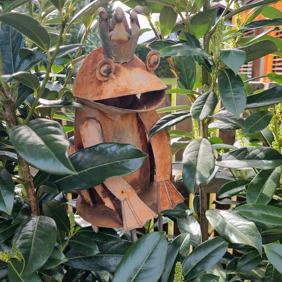 Gartendeko - Rostgarten - Blumenstecker Frosch in Tuntenhausen