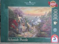 3000 Teile Puzzle Nordrhein-Westfalen - Bottrop Vorschau