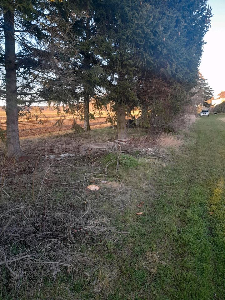 Gartengrundstück mit Finnenhütte und Geräteschuppen in Annaburg