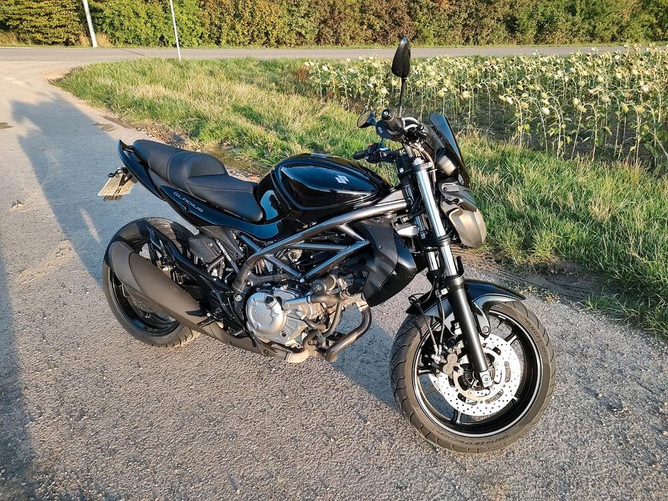 Suzuki Gladius SFV 650 Gladius in Böblingen