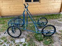 Dogtrike / Zughunde Thüringen - Sitzendorf Vorschau