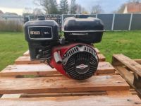 Briggs&Stratton 550 Series Standmotor 127cc Schleswig-Holstein - Flensburg Vorschau