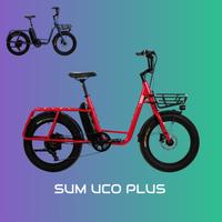 SUM UCO Plus 20 Zoll E-Cargobike | 160 KG Zuladung | Drehmomentsensor | 20 x 3.0 Zoll Bereifung 20 Zoll E-Bike Elektrofahrrad Brandenburg - Wustrau Vorschau