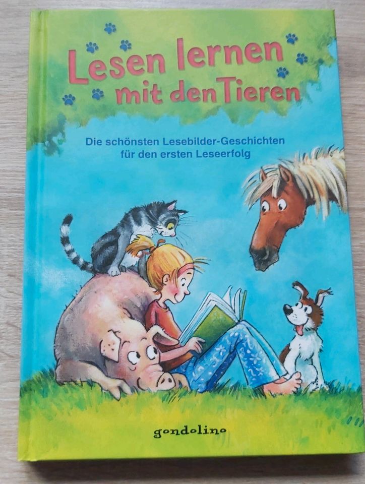 Lesen lernen mit den Tieren Lesebilder-Geschichten Gondolino in Südbrookmerland