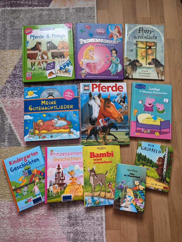 Viele tolle Kinderbücher Bücher ab 4 Jahre in Dresden