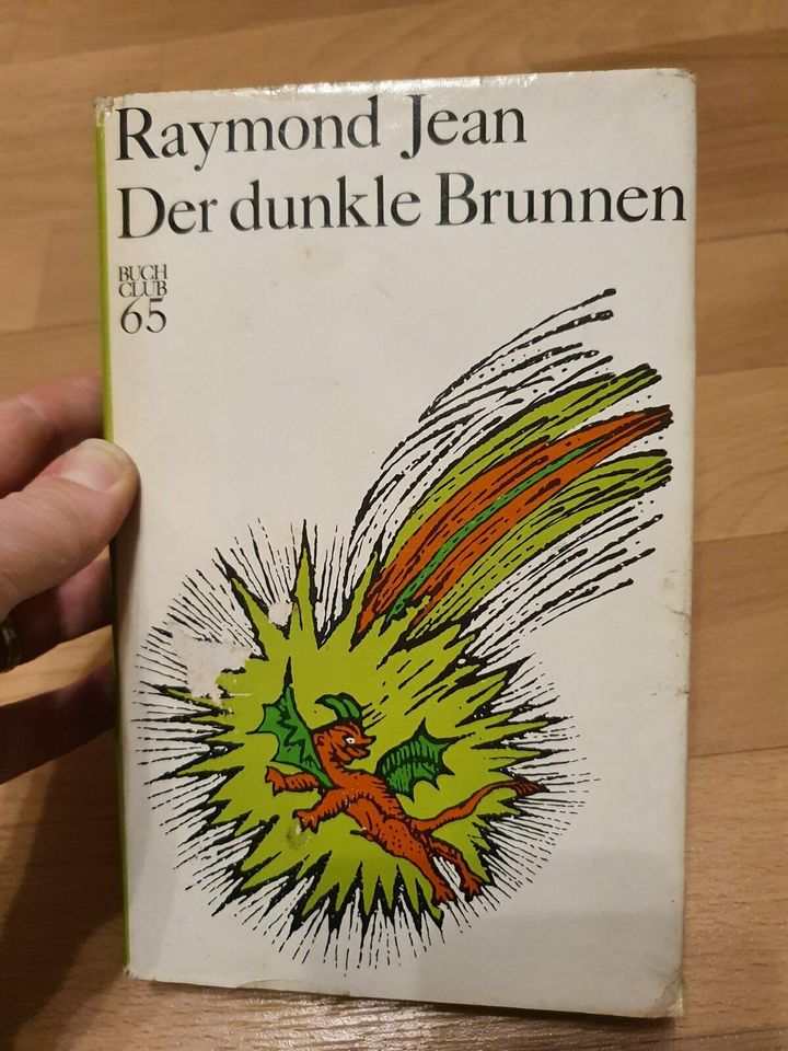 Buch DDR Raymond Jean Der dunkle Brunnen 1979 in Halle