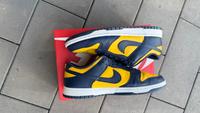 Nike Dunk Low Michigan Rheinland-Pfalz - Morbach Vorschau