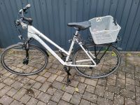 Damen Fahrrad Mammut UVP 749€ Hessen - Schöneck Vorschau