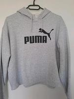 Toller Hoodie Sachsen - Niederau Vorschau