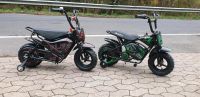 NITRO MOTORS 300W Eco mini Kinder Dirtbike Flee PRM 6" Rheinland-Pfalz - Bad Breisig  Vorschau