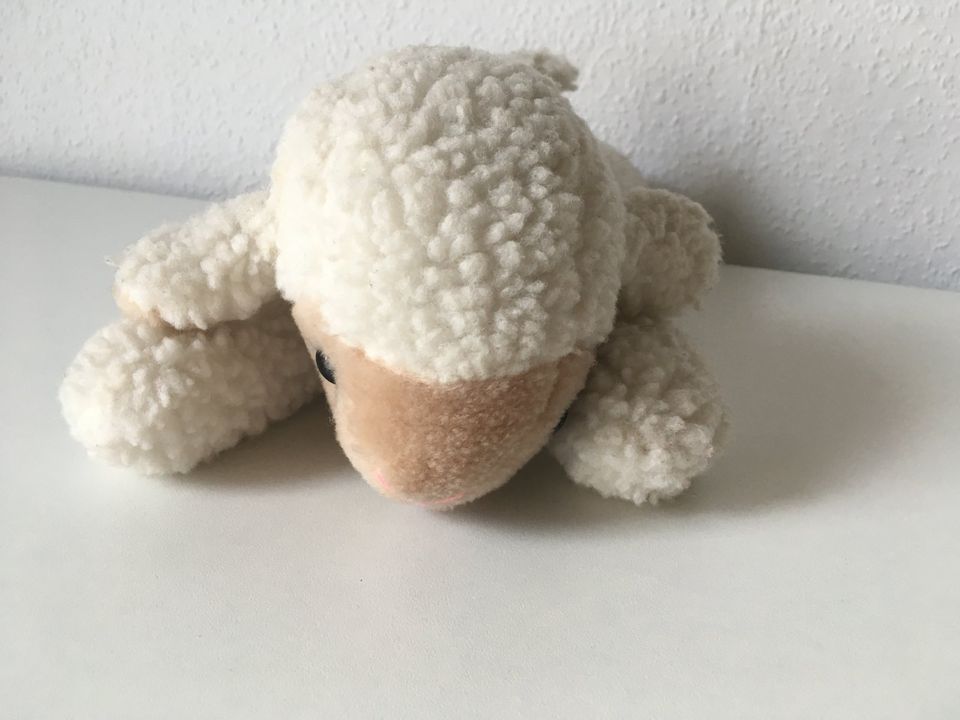 Kuscheltiere Schaf Schäfchen weiß in Bodenheim
