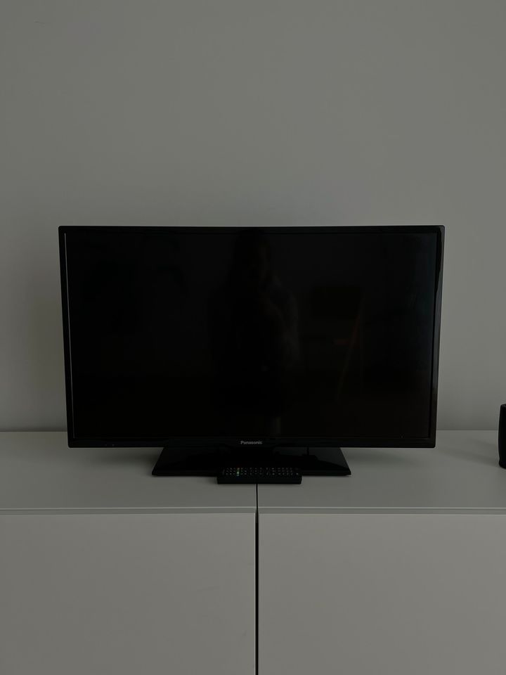 Flachbildschirm TV / Fernseher - Panasonic in Neu Wulmstorf