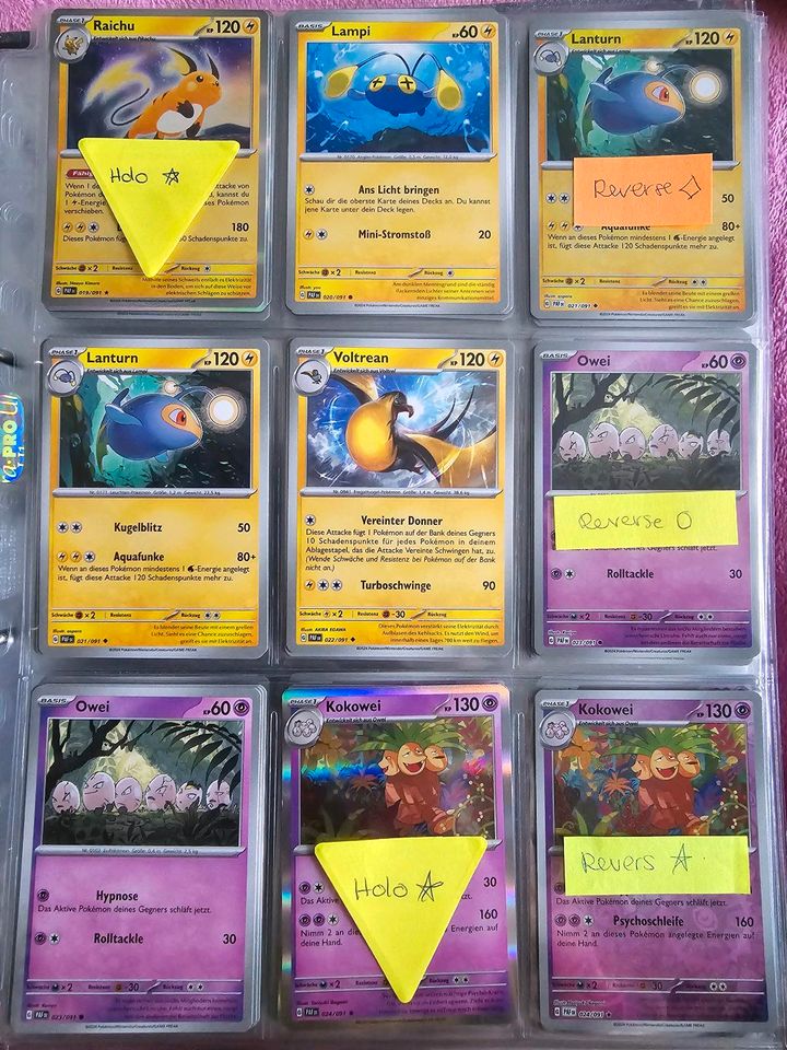 142 Pokemon Karten aus Paldeas Schicksal Booster EX, Shiny, Holo in Kaufering