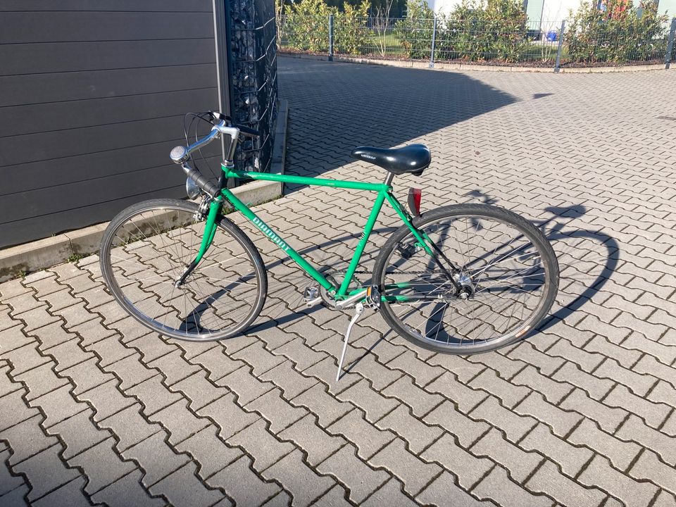 Halbrenner Fahrrad Rennrad Diamant Beryll 54cm Nabenschaltung in Pohlheim