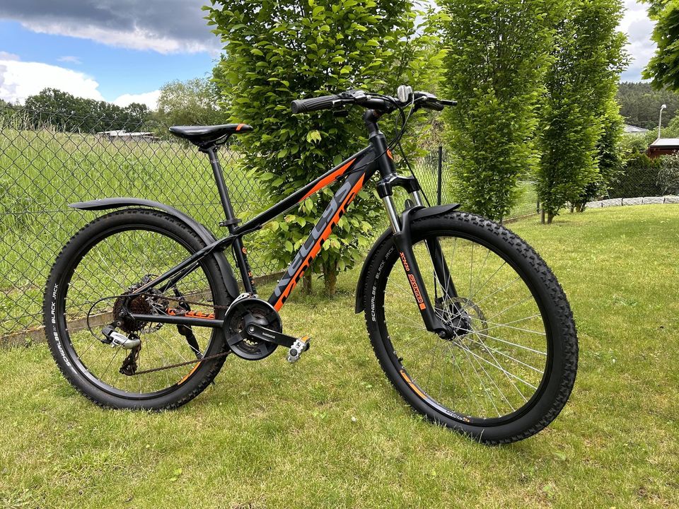 Kellys Mountainbike 26 Zoll in Lauf a.d. Pegnitz