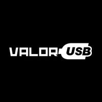 VALOR USB | MEDELI AKX10 - THOMANN AKX1100 | TÜRK SOUND SET Nürnberg (Mittelfr) - Mitte Vorschau