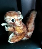 Steiff..sehr schönes kleines Eichhörnchen von Steiff 60 er Jahre Bielefeld - Brackwede Vorschau