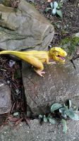 Tyrannosaurus Rex von Schleich Nordrhein-Westfalen - Herscheid Vorschau