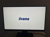 iiyama PL2292H ProLite XUB2292HS 21,5" mit Pixelfehler Bayern - Himmelstadt Vorschau