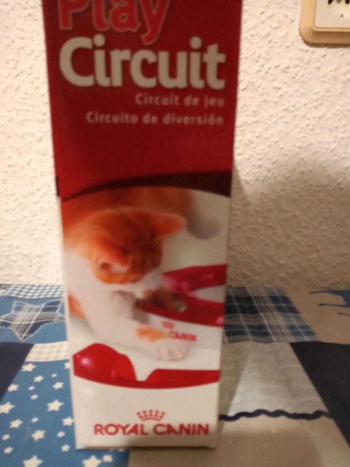 Play Circuit royal Canin Katzen Spielzeug neu in Schülldorf