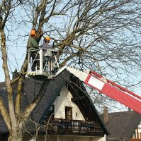 Baum fällen Wurzelstockentfernung Baufeldräumung  Forstarbeiten Bayern - Moorenweis Vorschau