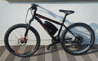 E- Bike / MTB/ Specialized Bayern - Straubing Vorschau