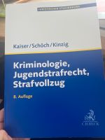 Kriminologie, Jugendstrafrecht, Strafvollzug Wuppertal - Ronsdorf Vorschau