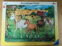 Ravensburger Puzzle "Pferde auf der Koppel" 4+ Niedersachsen - Hohnstorf (Elbe) Vorschau