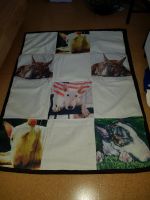 Miniatur Bullterrier Motive Kuscheldecke Polarfleece antipilling Niedersachsen - Eicklingen Vorschau