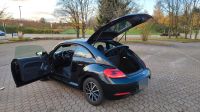 VW NewBeatle Baden-Württemberg - Achern Vorschau