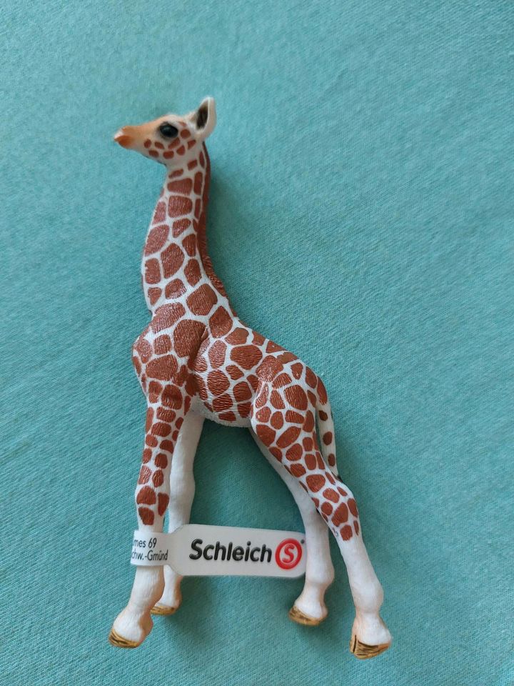 Schleich Giraffe Junges 14751 *NEU* in Leipzig