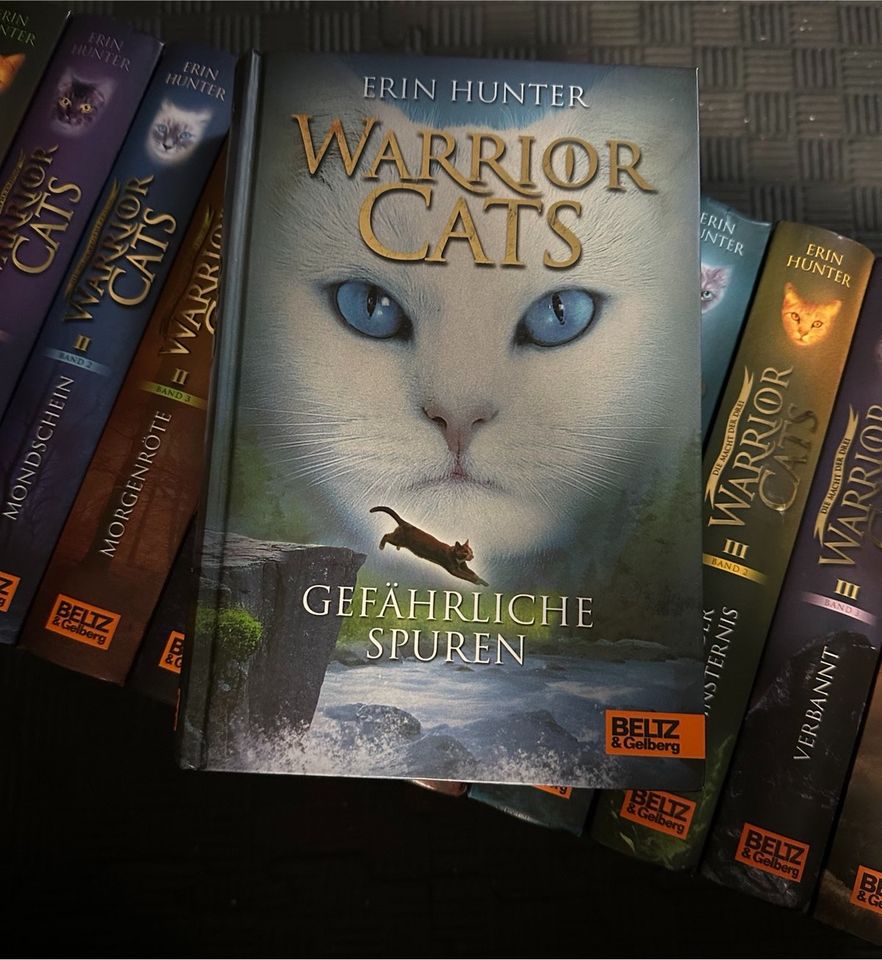 Warrior Cats von Erin Hunter in Detmold