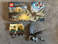 Lego Harry Potter 75946 Der ungarische Hornschwanz Nordrhein-Westfalen - Lippstadt Vorschau