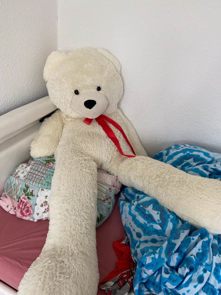 Riesen Teddy in Schorndorf