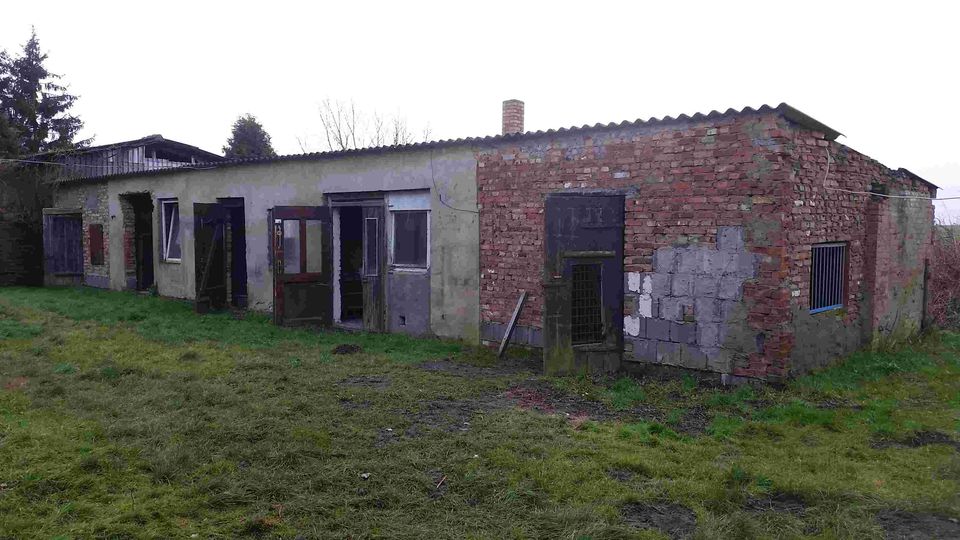 Landhaus und dazu reichlich Grundstück in Groß Luckow