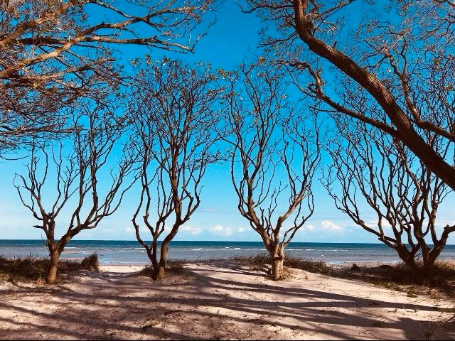 ❤️gemütliche Ferienwohnung Balk. Ostsee Insel Poel in Dortmund