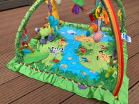 Spielbogen Fisher Price Rainforest mit zusätzlichen Spielzeugen Sachsen - Großpösna Vorschau