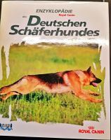 der Deutsche Schäferhund Niedersachsen - Bassum Vorschau