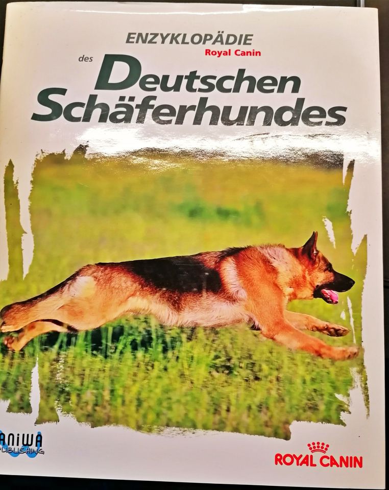 der Deutsche Schäferhund in Bassum
