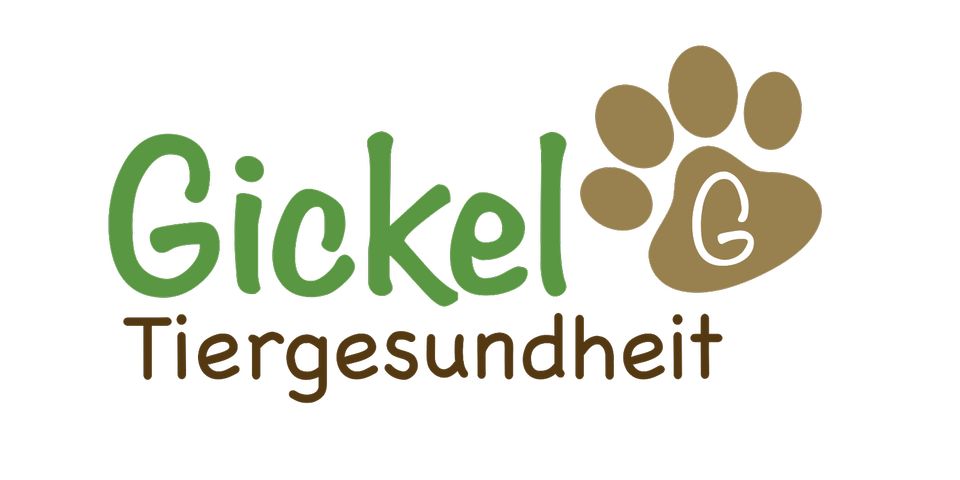 Ernährungsberatung/Futterplan für Hunde in Bassum