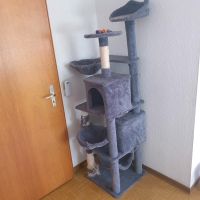 Verkaufe Katzen Baum Baden-Württemberg - Öhringen Vorschau