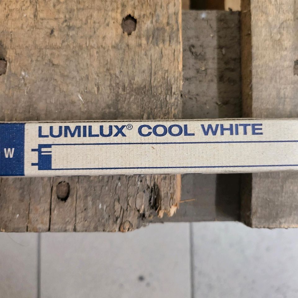 Mumilux Cool White (Neonrohr) NEU in Besigheim