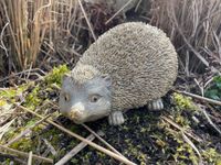 Igel Deko Gartenfigur Material Kunststein Frühling Herbst Rheinland-Pfalz - Waldbreitbach Vorschau