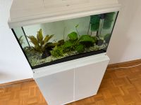 Aquarium mit Unterschrank und Filter Bayern - Erding Vorschau