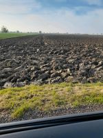 Ackerland Feld Flurstück  Acker Nordrhein-Westfalen - Grevenbroich Vorschau