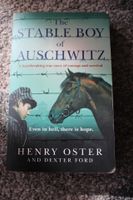 The Stable Boy of Auschwitz english englisch Buch Book  Henry Ost Bayern - Rohr Mittelfr. Vorschau
