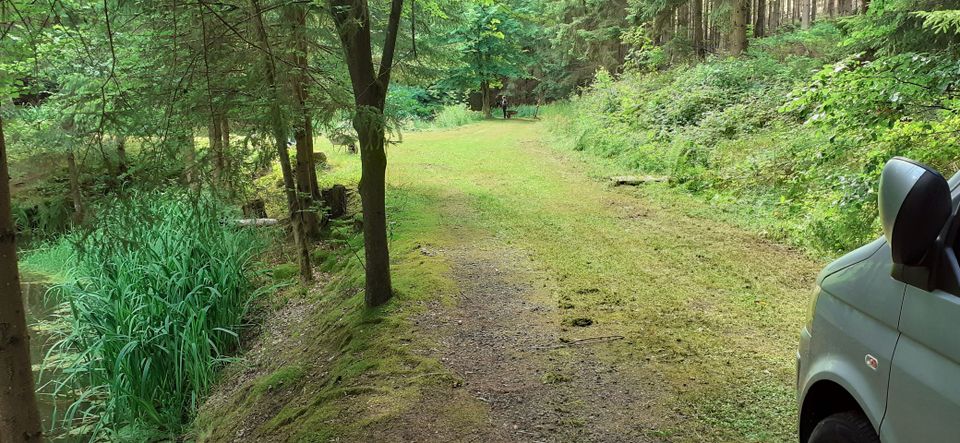 Teich - Angelteich - Fischteich - Waldgrundstück - Idylle in Bad Hersfeld