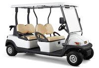 WSM EX1400 GolfCart Shuttle Elektrofahrzeug Baden-Württemberg - Satteldorf Vorschau