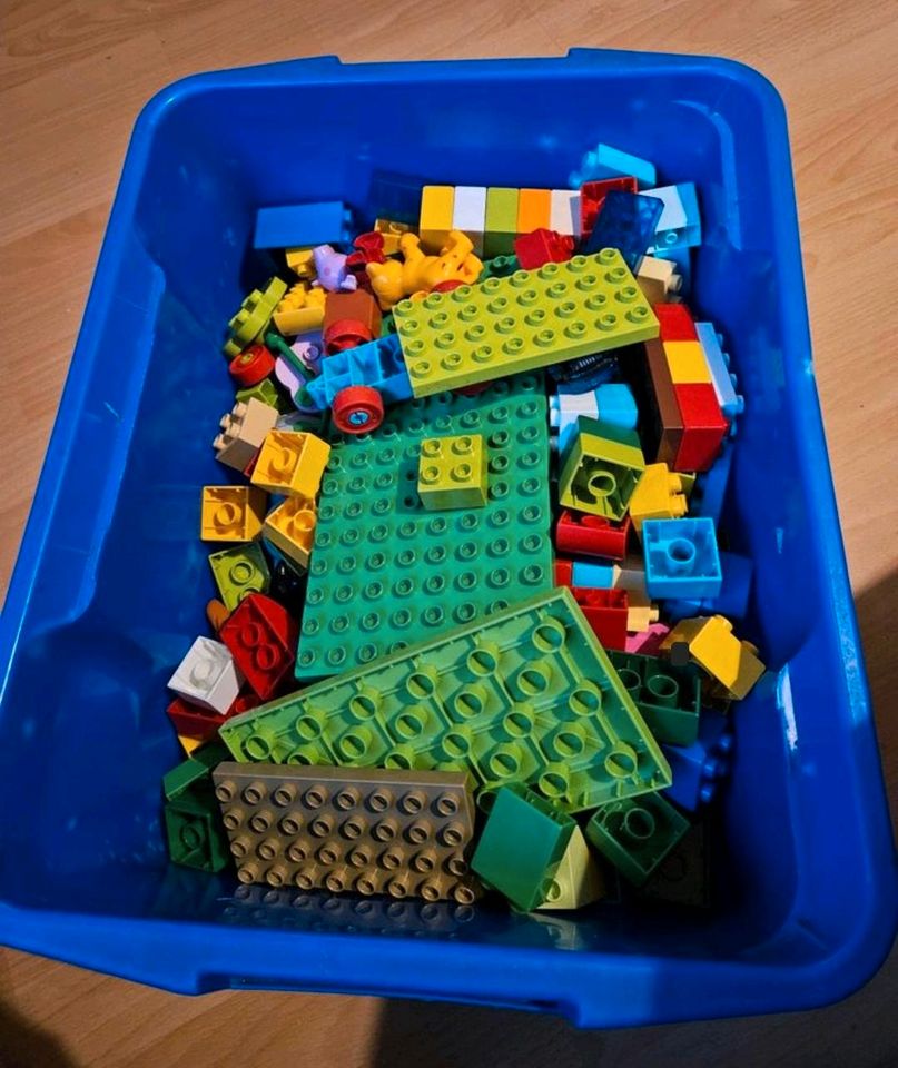 Lego Duplo in Essen